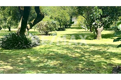 Жилищен - Къща - Valle De Bravo, Мексико - Mexico - 24 - 1001004127-1