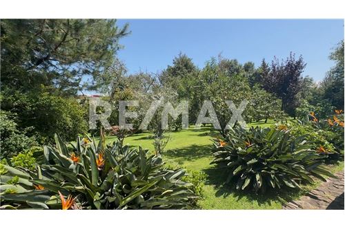 Жилищен - Къща - Valle De Bravo, Мексико - Mexico - 4 - 1001004127-1