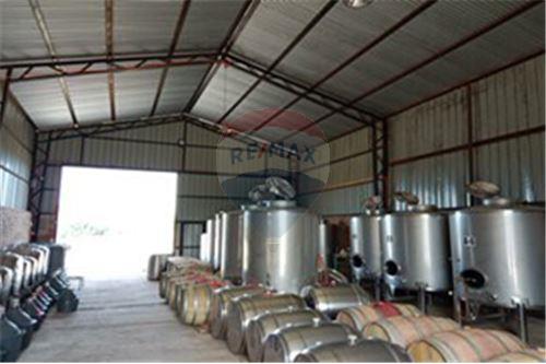 Residential - คฤหาสน์ชนบท - San Javier, Linares, Maule - CL - 14 - 1028098015-608