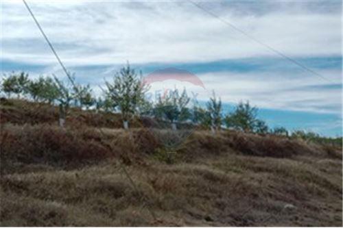 Residential - คฤหาสน์ชนบท - San Javier, Linares, Maule - CL - 22 - 1028098015-608