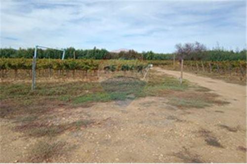 Residential - คฤหาสน์ชนบท - San Javier, Linares, Maule - CL - 29 - 1028098015-608