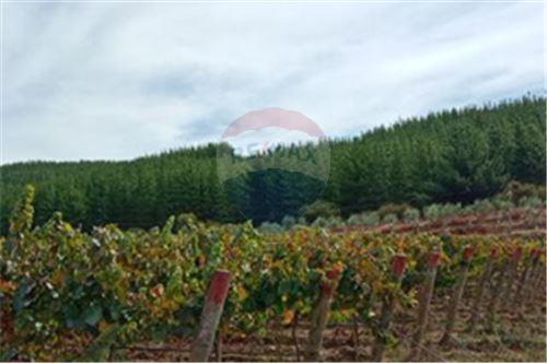 Residential - คฤหาสน์ชนบท - San Javier, Linares, Maule - CL - 8 - 1028098015-608