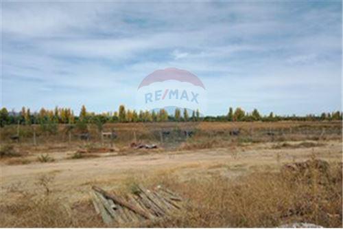 Residential - คฤหาสน์ชนบท - San Javier, Linares, Maule - CL - 31 - 1028098015-608