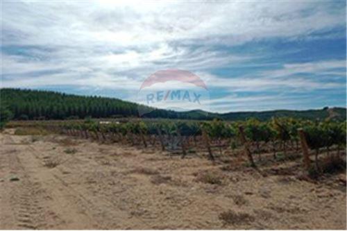 Residential - คฤหาสน์ชนบท - San Javier, Linares, Maule - CL - 28 - 1028098015-608