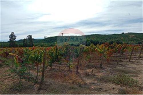 Residential - คฤหาสน์ชนบท - San Javier, Linares, Maule - CL - 13 - 1028098015-608