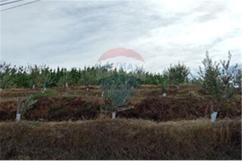 Residential - คฤหาสน์ชนบท - San Javier, Linares, Maule - CL - 21 - 1028098015-608