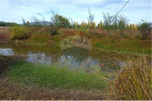 Residential - คฤหาสน์ชนบท - San Javier, Linares, Maule - CL - 25 - 1028098015-608