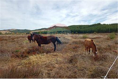 Residential - คฤหาสน์ชนบท - San Javier, Linares, Maule - CL - 24 - 1028098015-608