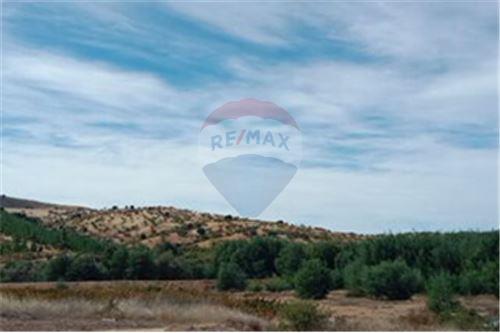 Residential - คฤหาสน์ชนบท - San Javier, Linares, Maule - CL - 23 - 1028098015-608