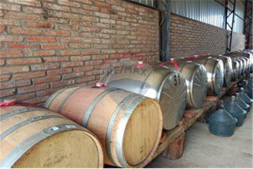 Residential - คฤหาสน์ชนบท - San Javier, Linares, Maule - CL - 15 - 1028098015-608