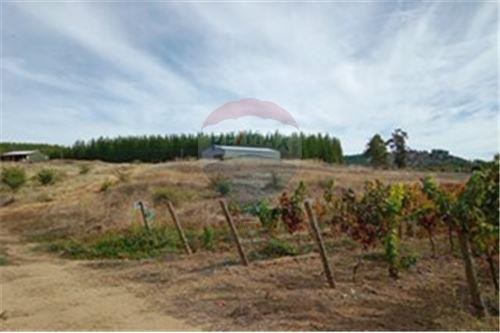 Residential - คฤหาสน์ชนบท - San Javier, Linares, Maule - CL - 16 - 1028098015-608