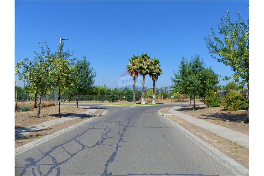 Gyvenamasis - Žemės sklypas - Colina, Chacabuco, Metropolitana De Santiago - CL - 8 - 1028018148-405