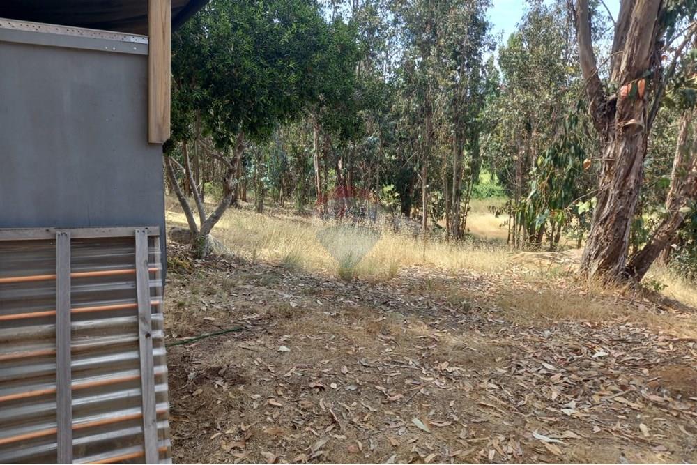 Gyvenamasis - Tuščias žemės sklypas - Litueche, Cardenal Caro, Libertador Gral. Bernardo O'Higgins - CL - Imagen de WhatsApp 2025-01-02 a las 15.22.16_abc97c77.jpg - 1028103011-35