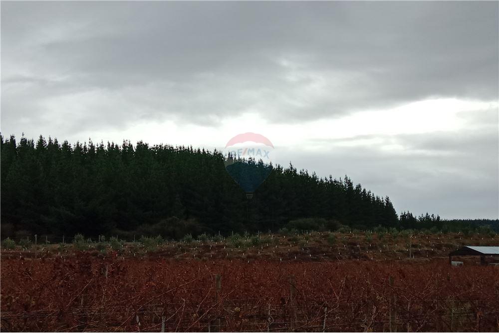 Residential - คฤหาสน์ชนบท - San Javier, Linares, Maule - CL - 33 - 1028098015-608