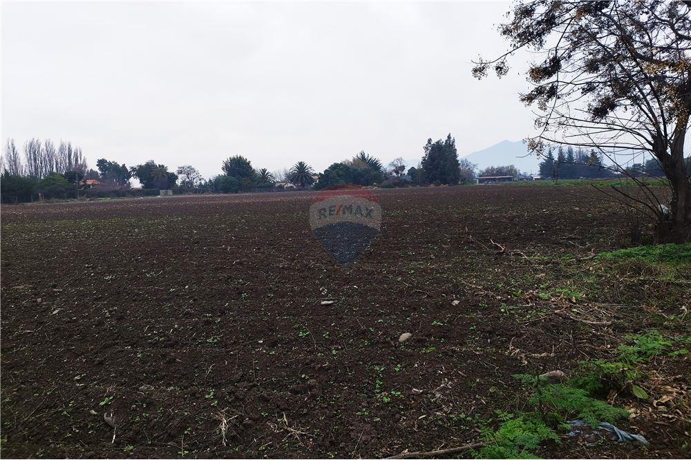 Mieszkaniowa - Nieruchomość wiejska - Talagante, Talagante, Metropolitana De Santiago - CL - Altana - 1028091010-162