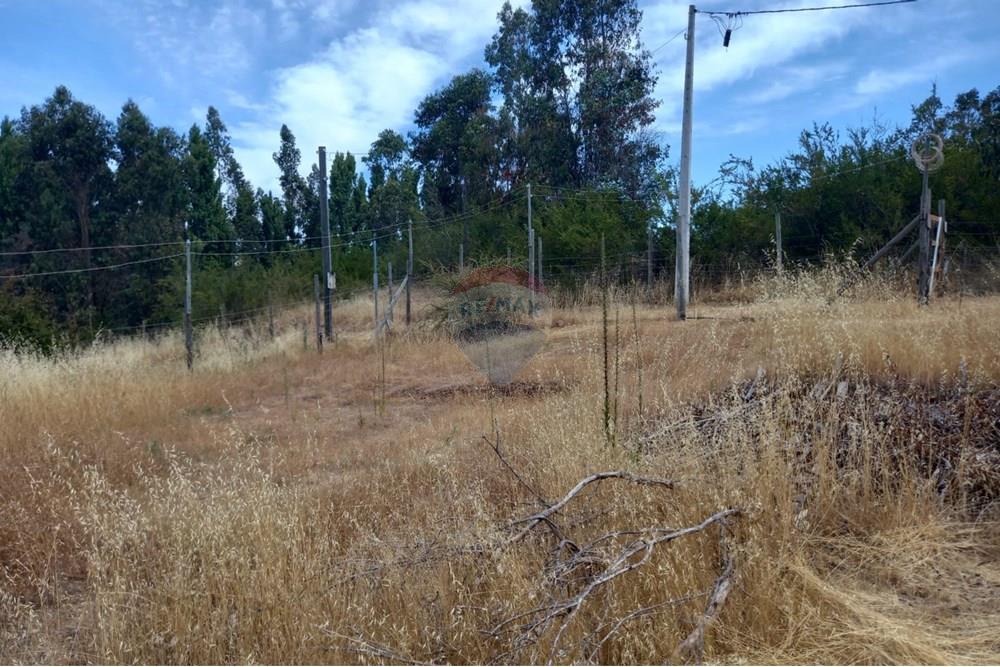 Gyvenamasis - Tuščias žemės sklypas - Litueche, Cardenal Caro, Libertador Gral. Bernardo O'Higgins - CL - Imagen de WhatsApp 2025-01-02 a las 15.22.15_114ba0c0.jpg - 1028103011-35