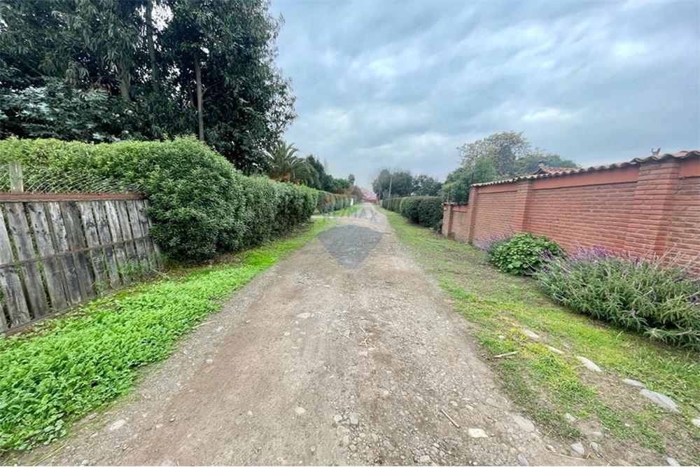 Mieszkaniowa - Nieruchomość wiejska - Talagante, Talagante, Metropolitana De Santiago - CL - 7 - 1028091010-162