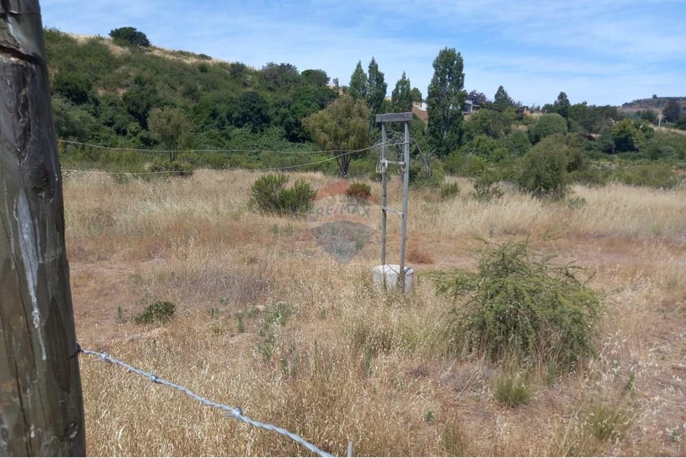 Gyvenamasis - Tuščias žemės sklypas - Litueche, Cardenal Caro, Libertador Gral. Bernardo O'Higgins - CL - Imagen de WhatsApp 2025-01-02 a las 15.22.13_4f57cdaf.jpg - 1028103011-35