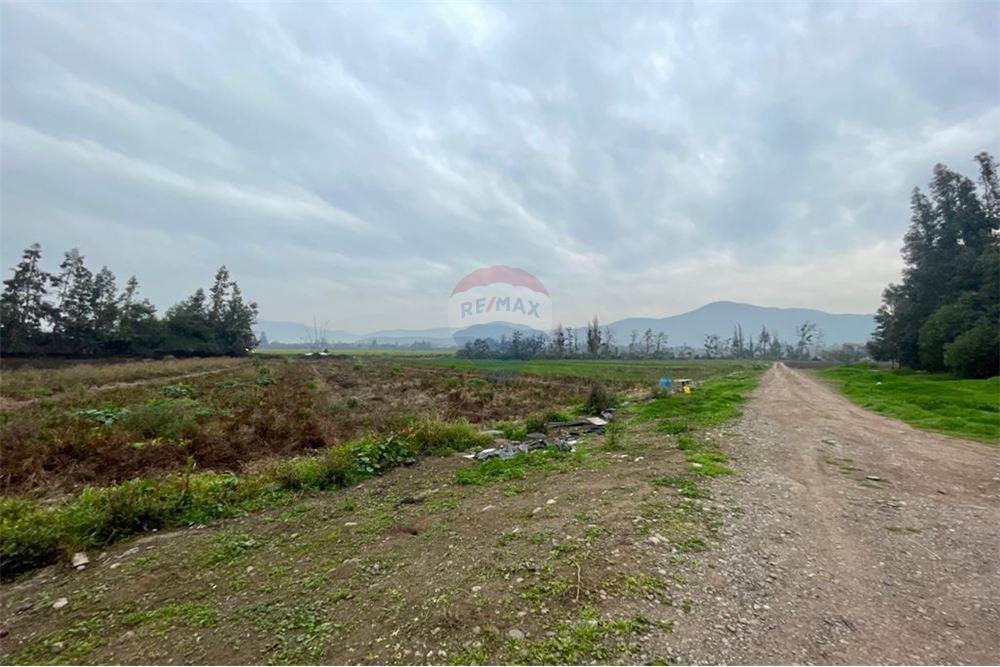 Mieszkaniowa - Nieruchomość wiejska - Talagante, Talagante, Metropolitana De Santiago - CL - 9 - 1028091010-162