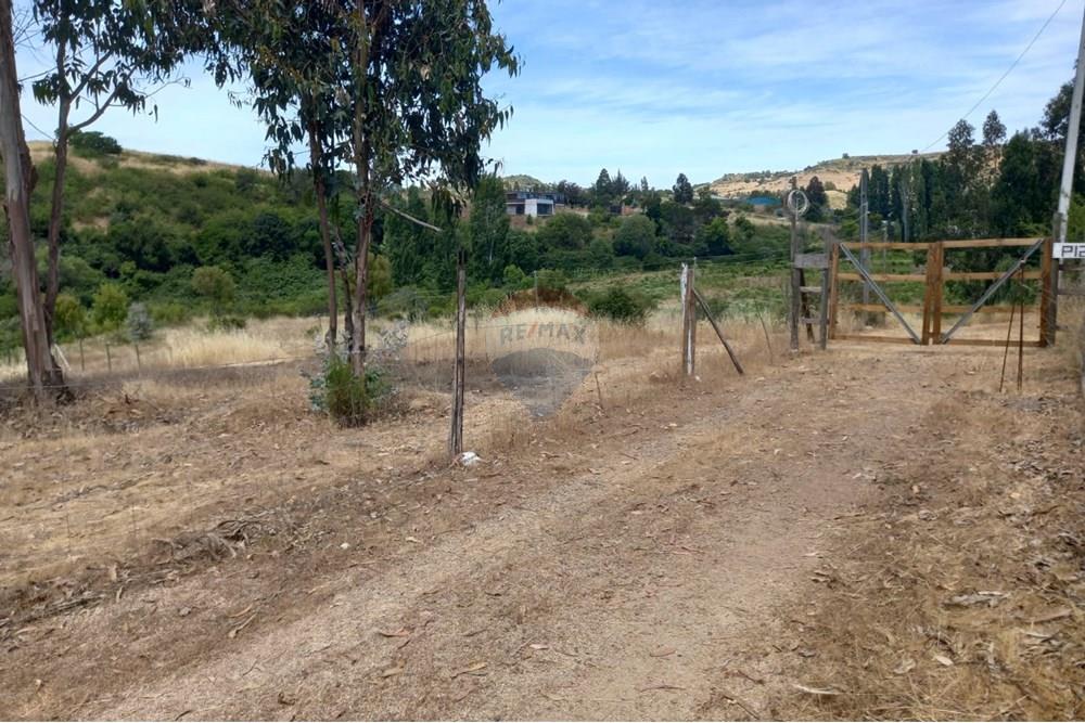 Gyvenamasis - Tuščias žemės sklypas - Litueche, Cardenal Caro, Libertador Gral. Bernardo O'Higgins - CL - Imagen de WhatsApp 2025-01-02 a las 15.22.17_42be04af.jpg - 1028103011-35