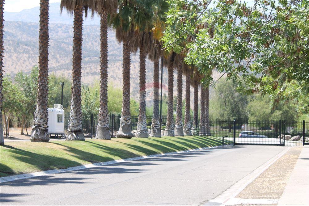 Gyvenamasis - Žemės sklypas - Colina, Chacabuco, Metropolitana De Santiago - CL - 19 - 1028018148-405