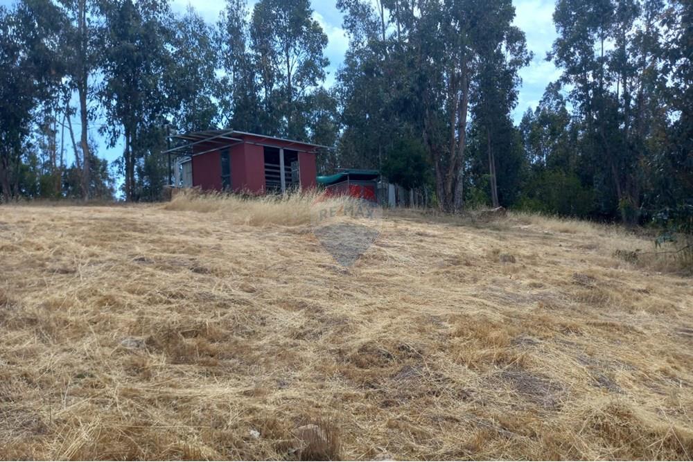 Gyvenamasis - Tuščias žemės sklypas - Litueche, Cardenal Caro, Libertador Gral. Bernardo O'Higgins - CL - Imagen de WhatsApp 2025-01-02 a las 15.22.14_8fec82c1.jpg - 1028103011-35