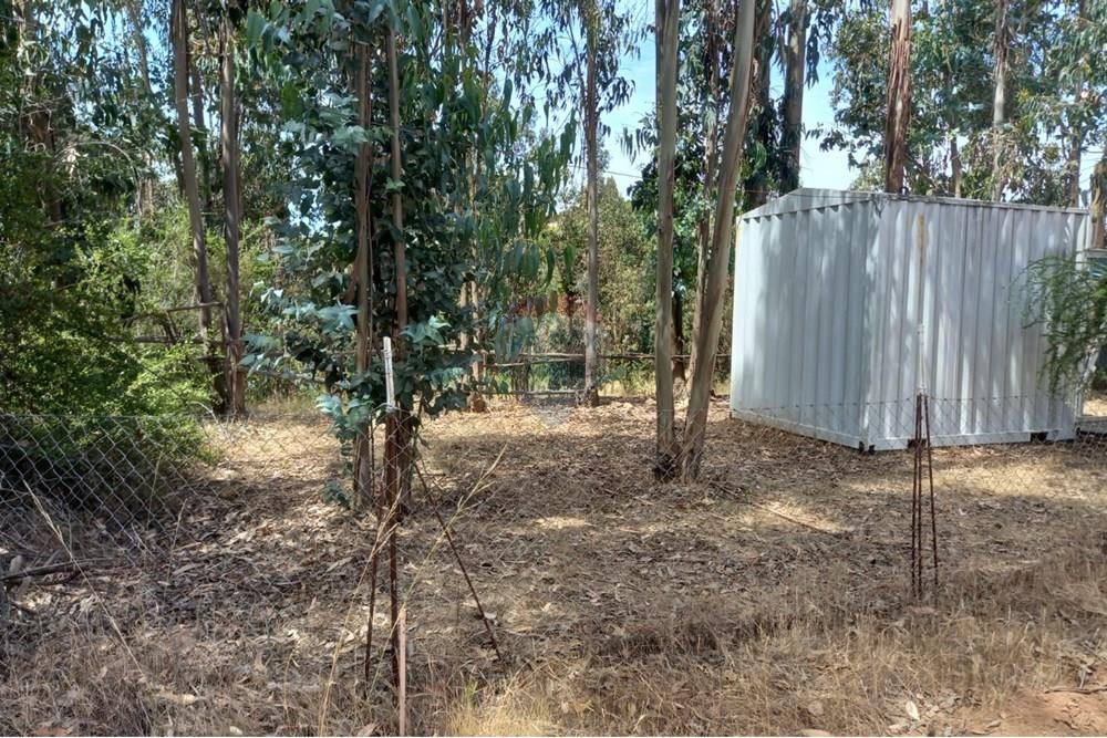 Gyvenamasis - Tuščias žemės sklypas - Litueche, Cardenal Caro, Libertador Gral. Bernardo O'Higgins - CL - Imagen de WhatsApp 2025-01-02 a las 15.22.17_48184561.jpg - 1028103011-35