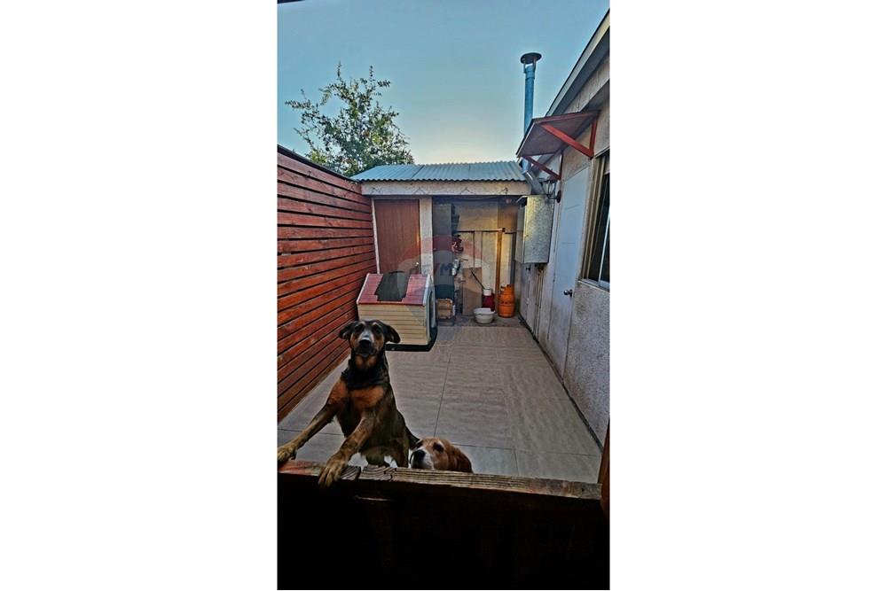 Residential - House - Pudahuel, Santiago, Metropolitana De Santiago - CL - 8.jpeg - 1028112022-22