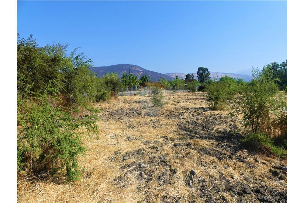 Gyvenamasis - Žemės sklypas - Colina, Chacabuco, Metropolitana De Santiago - CL - 14 - 1028018148-405