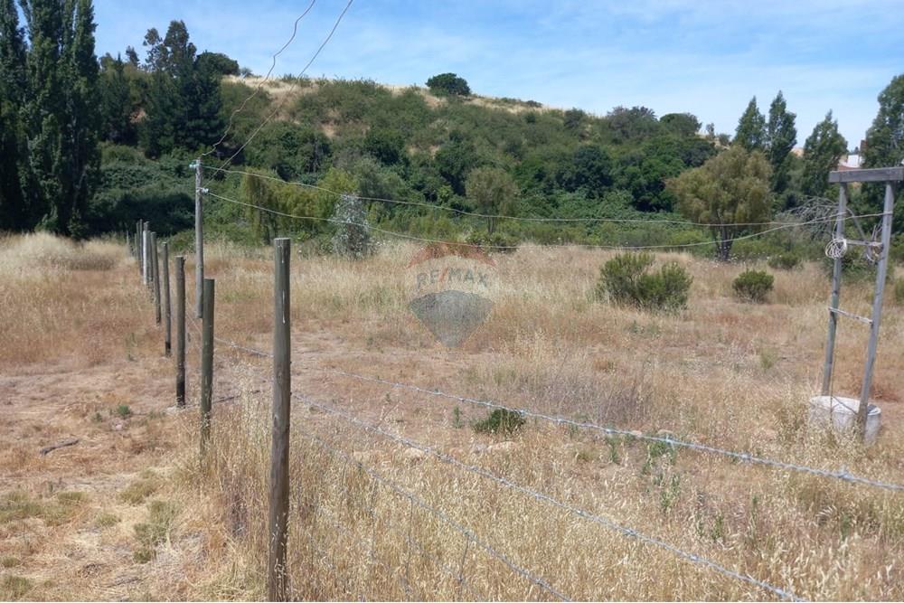 Gyvenamasis - Tuščias žemės sklypas - Litueche, Cardenal Caro, Libertador Gral. Bernardo O'Higgins - CL - Imagen de WhatsApp 2025-01-02 a las 15.22.13_d8e9d592.jpg - 1028103011-35