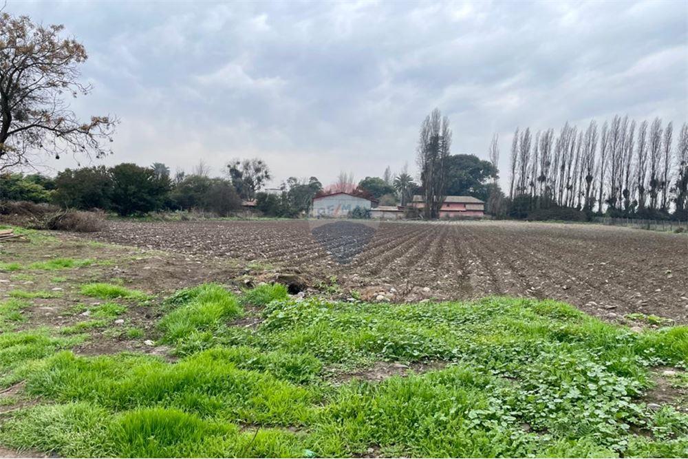 Mieszkaniowa - Nieruchomość wiejska - Talagante, Talagante, Metropolitana De Santiago - CL - 14 - 1028091010-162