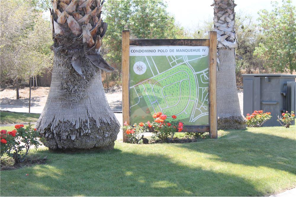 Gyvenamasis - Žemės sklypas - Colina, Chacabuco, Metropolitana De Santiago - CL - 7 - 1028018148-405