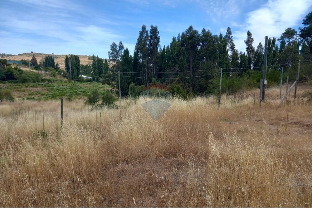 Gyvenamasis - Tuščias žemės sklypas - Litueche, Cardenal Caro, Libertador Gral. Bernardo O'Higgins - CL - Imagen de WhatsApp 2025-01-02 a las 15.22.15_952638e2.jpg - 1028103011-35