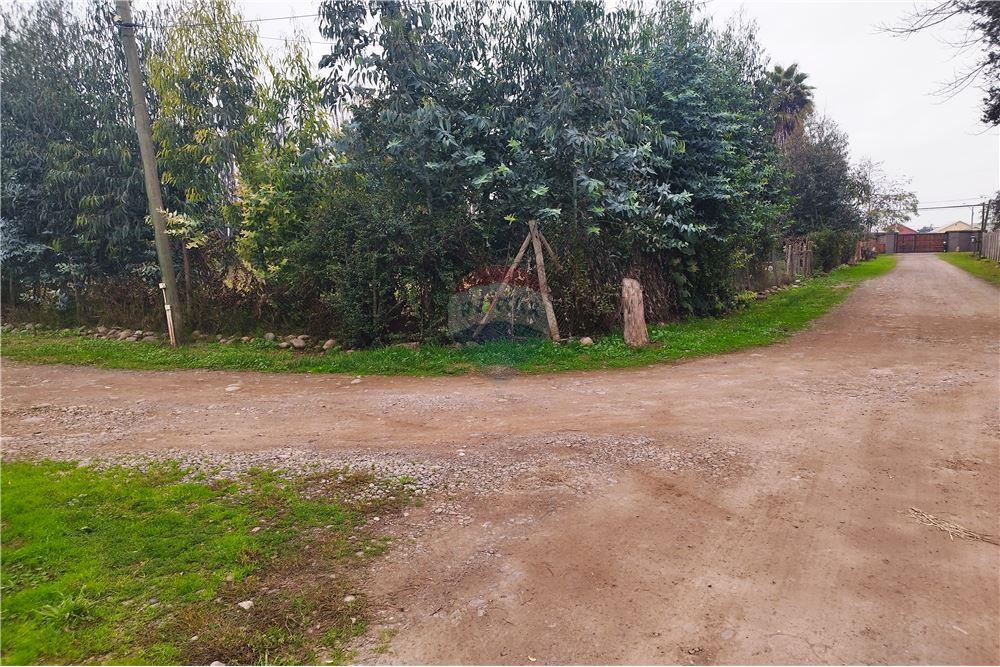 Mieszkaniowa - Nieruchomość wiejska - Talagante, Talagante, Metropolitana De Santiago - CL - 6 - 1028091010-162