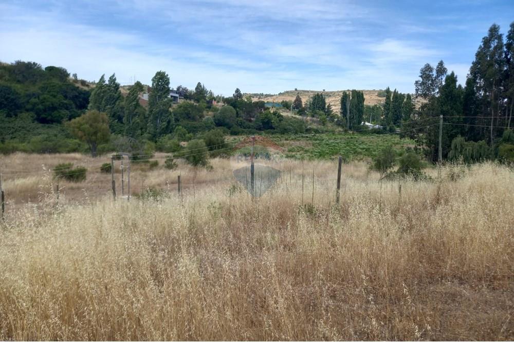 Gyvenamasis - Tuščias žemės sklypas - Litueche, Cardenal Caro, Libertador Gral. Bernardo O'Higgins - CL - Imagen de WhatsApp 2025-01-02 a las 15.22.15_9c75f013.jpg - 1028103011-35