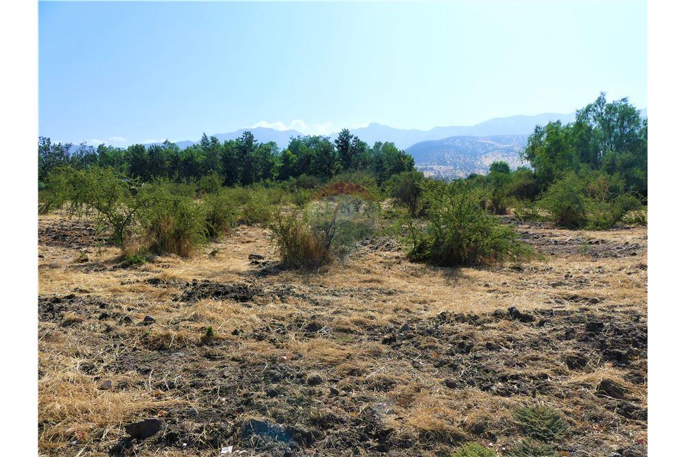 Gyvenamasis - Žemės sklypas - Colina, Chacabuco, Metropolitana De Santiago - CL - 10 - 1028018148-405