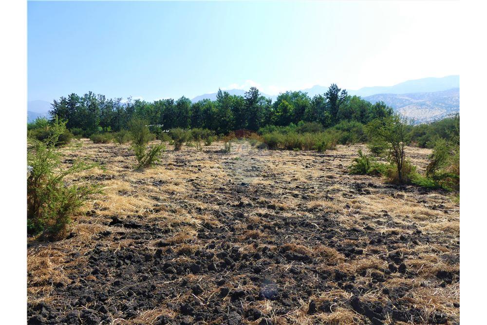 Gyvenamasis - Žemės sklypas - Colina, Chacabuco, Metropolitana De Santiago - CL - 12 - 1028018148-405