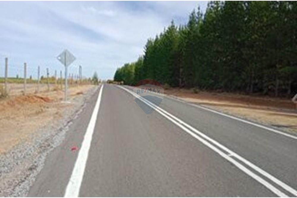 Residential - คฤหาสน์ชนบท - San Javier, Linares, Maule - CL - 1000024344.jpg - 1028098015-608