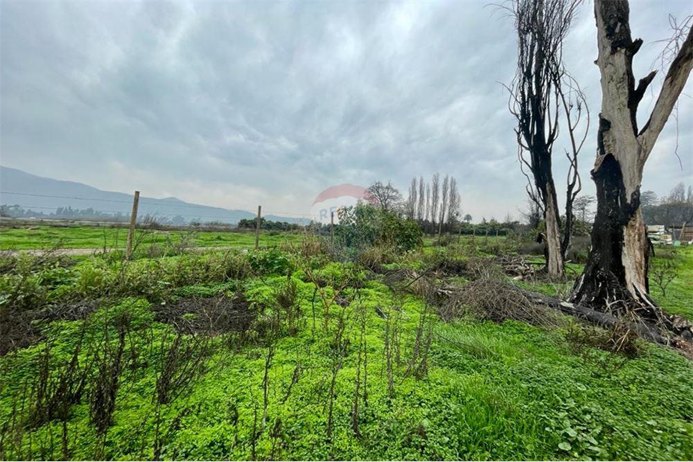 Mieszkaniowa - Nieruchomość wiejska - Talagante, Talagante, Metropolitana De Santiago - CL - 15 - 1028091010-162