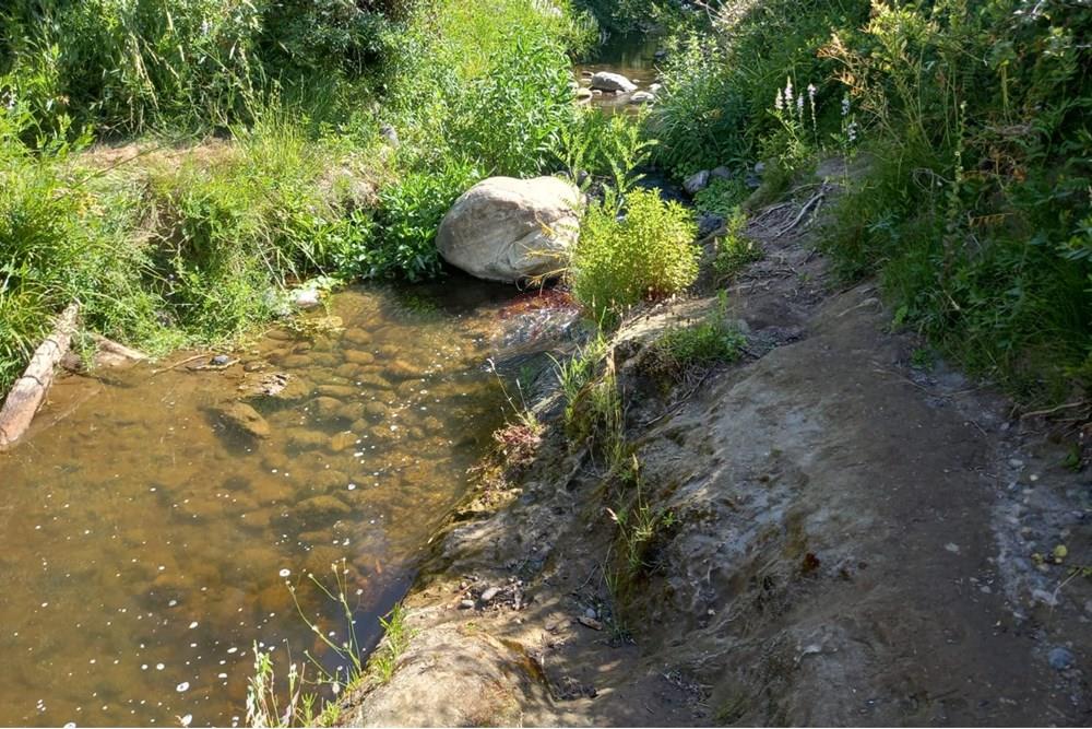 Gyvenamasis - Tuščias žemės sklypas - Litueche, Cardenal Caro, Libertador Gral. Bernardo O'Higgins - CL - Imagen de WhatsApp 2025-01-02 a las 15.20.57_d8878592.jpg - 1028103011-35