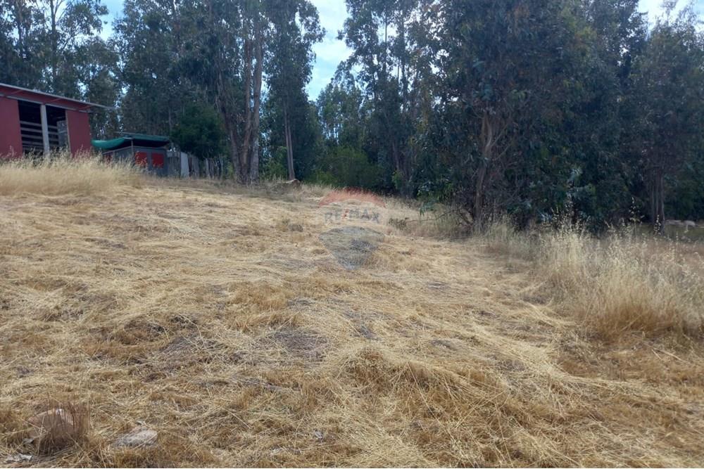 Gyvenamasis - Tuščias žemės sklypas - Litueche, Cardenal Caro, Libertador Gral. Bernardo O'Higgins - CL - Imagen de WhatsApp 2025-01-02 a las 15.22.14_814fdd36.jpg - 1028103011-35