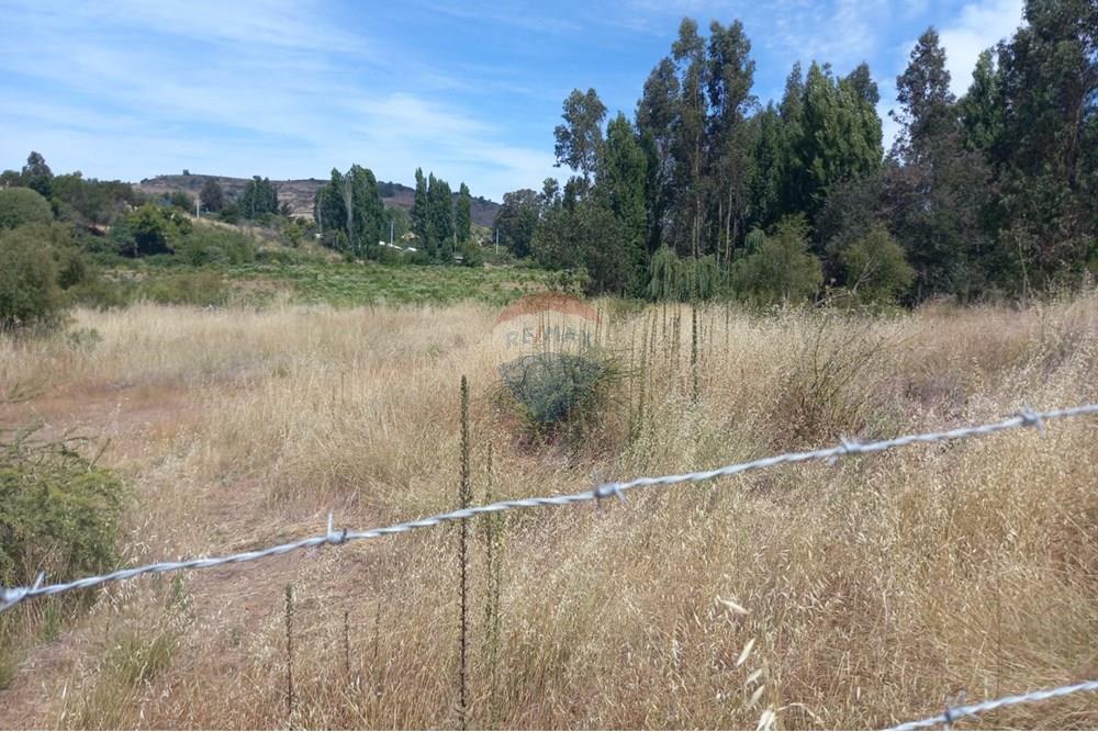 Gyvenamasis - Tuščias žemės sklypas - Litueche, Cardenal Caro, Libertador Gral. Bernardo O'Higgins - CL - Imagen de WhatsApp 2025-01-02 a las 15.22.13_15452ae1.jpg - 1028103011-35