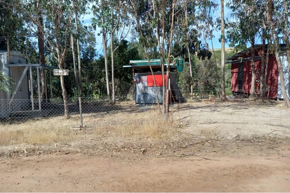 Gyvenamasis - Tuščias žemės sklypas - Litueche, Cardenal Caro, Libertador Gral. Bernardo O'Higgins - CL - Imagen de WhatsApp 2025-01-02 a las 15.20.57_cae486fc.jpg - 1028103011-35