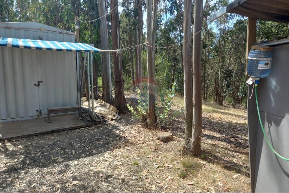 Gyvenamasis - Tuščias žemės sklypas - Litueche, Cardenal Caro, Libertador Gral. Bernardo O'Higgins - CL - Imagen de WhatsApp 2025-01-02 a las 15.22.16_e251d66c.jpg - 1028103011-35