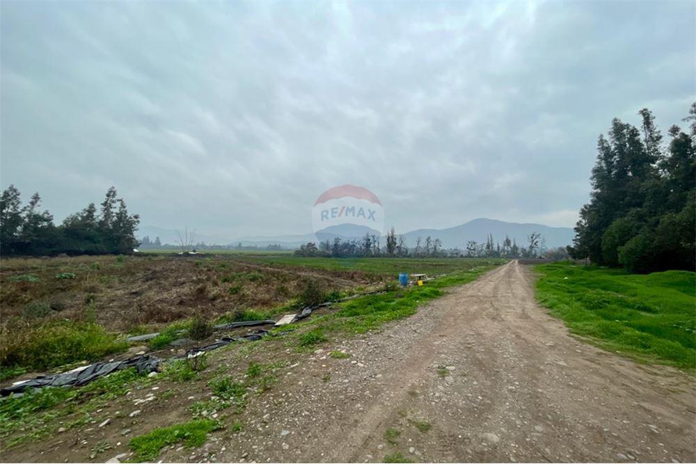 Mieszkaniowa - Nieruchomość wiejska - Talagante, Talagante, Metropolitana De Santiago - CL - 17 - 1028091010-162