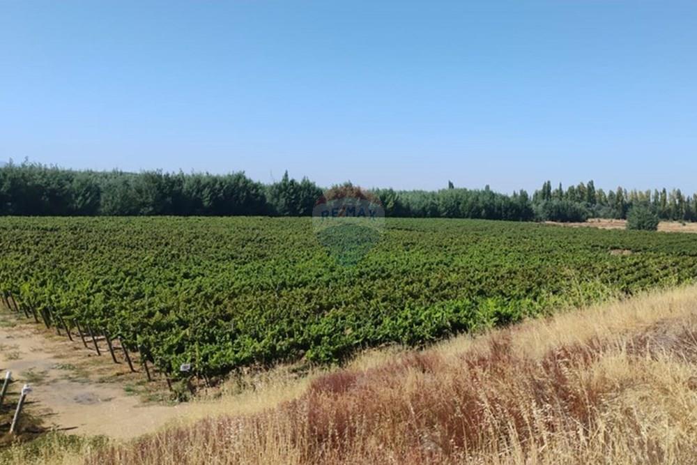 Residential - คฤหาสน์ชนบท - San Javier, Linares, Maule - CL - PHOTO-2025-02-19-12-09-28_1.jpg - 1028098015-608