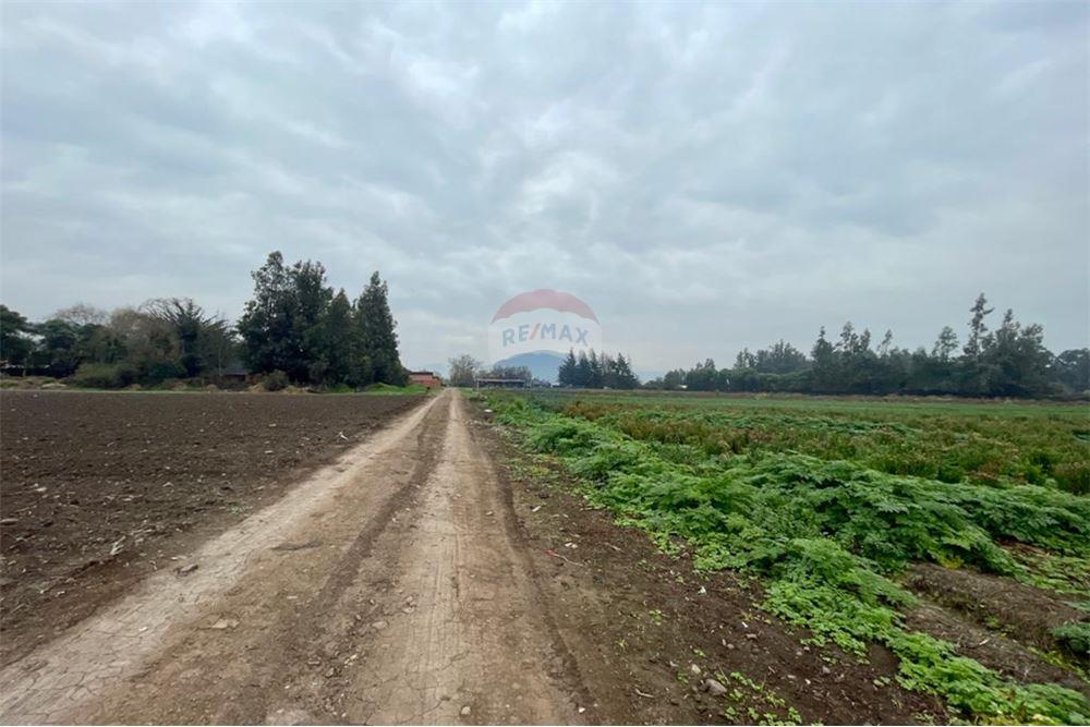 Mieszkaniowa - Nieruchomość wiejska - Talagante, Talagante, Metropolitana De Santiago - CL - 16 - 1028091010-162