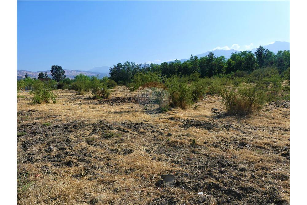 Gyvenamasis - Žemės sklypas - Colina, Chacabuco, Metropolitana De Santiago - CL - 13 - 1028018148-405