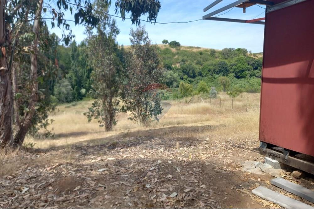 Gyvenamasis - Tuščias žemės sklypas - Litueche, Cardenal Caro, Libertador Gral. Bernardo O'Higgins - CL - Imagen de WhatsApp 2025-01-02 a las 15.22.17_fe09171d.jpg - 1028103011-35