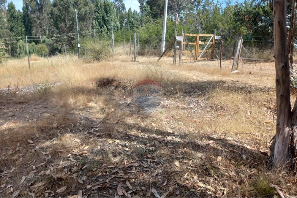 Gyvenamasis - Tuščias žemės sklypas - Litueche, Cardenal Caro, Libertador Gral. Bernardo O'Higgins - CL - Imagen de WhatsApp 2025-01-02 a las 15.21.33_f3635949.jpg - 1028103011-35